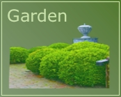 links about gardening, garden design, maintenance