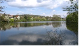 Pond in Forchheim