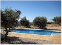 Zwembad tussen de olijfbomen